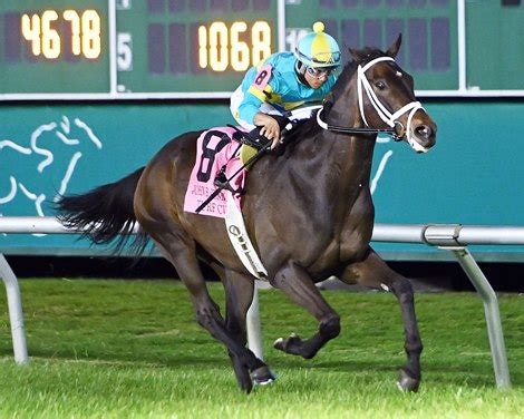 thoroughbred stakes schedule bloodhorse.